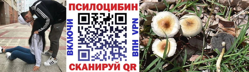 Галлюциногенные грибы мухоморы  Купить где  Выборг 